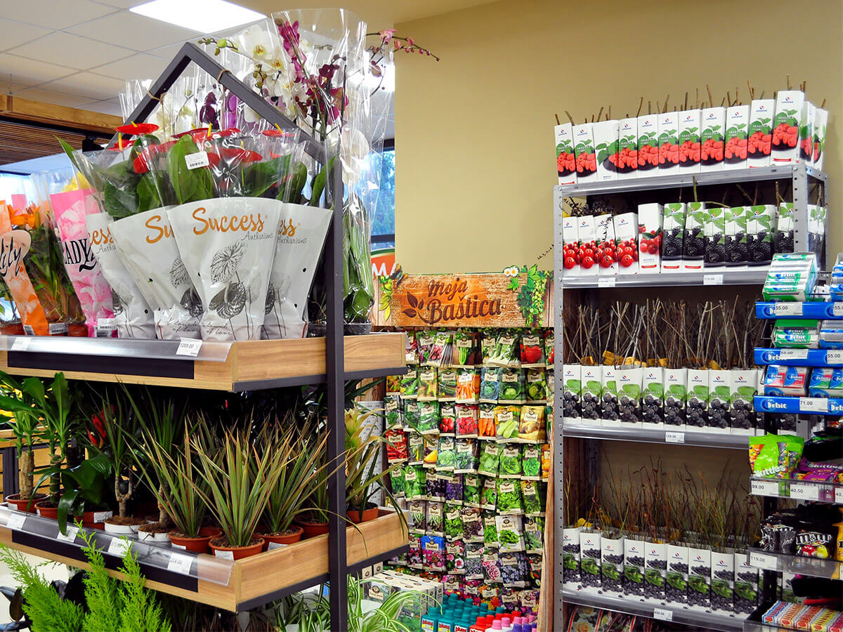 ZlatanTrag-11vidikZT ZlatanTrag-11vidikZT